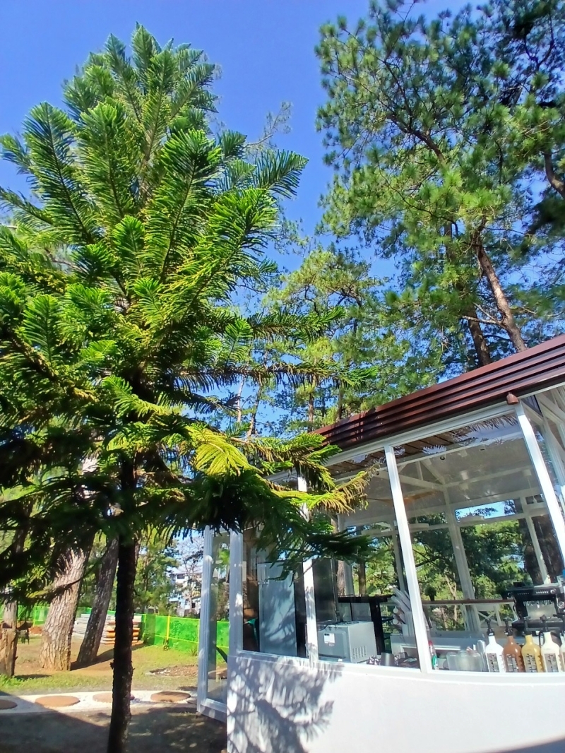 フィリピン留学 Cebu21 - A&J ECO CAMPUS-Outdoor-12